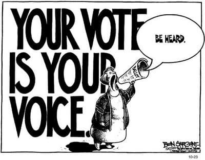 your-vote-your-voice