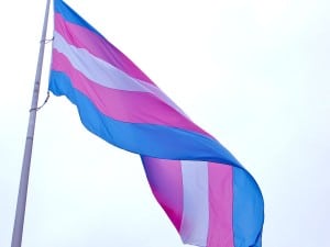 Trans flag by Wikimedia User LongLiveRock - licensed under Creative Commons