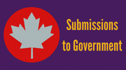 Submissions to government